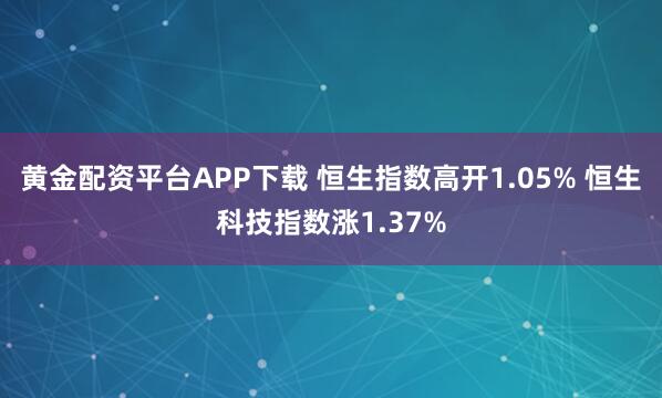 黄金配资平台APP下载 恒生指数高开1.05% 恒生科技指数涨1.37%