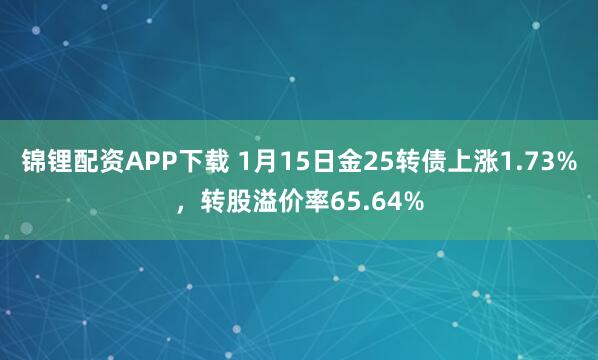锦锂配资APP下载 1月15日金25转债上涨1.73%，转股溢价率65.64%