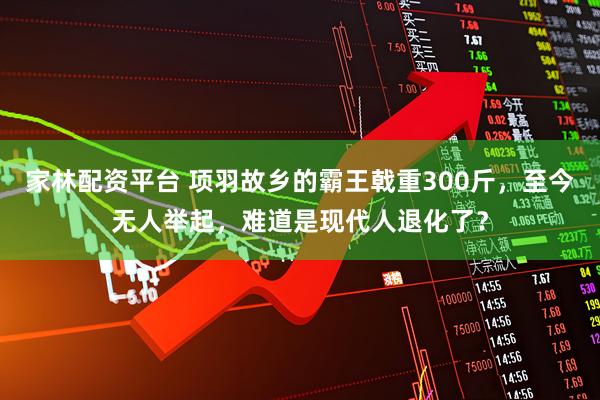 家林配资平台 项羽故乡的霸王戟重300斤，至今无人举起，难道是现代人退化了？